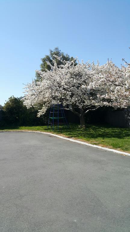 Lilybrook Motel Rangiora Buitenkant foto